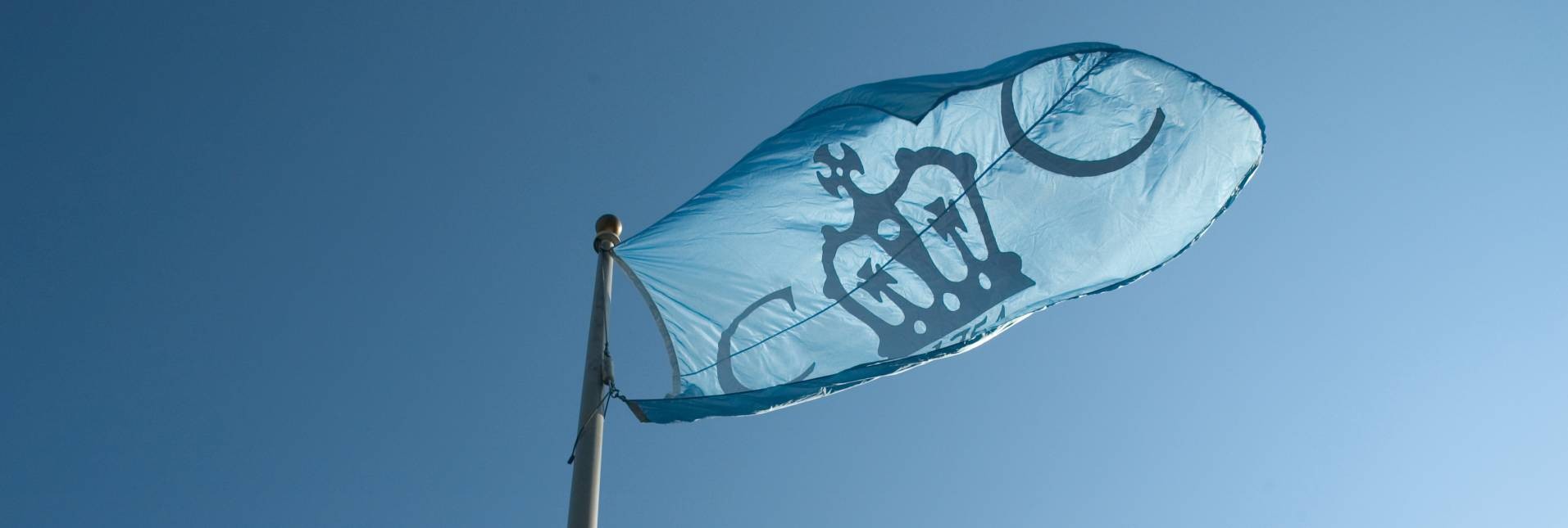 Columbia College Flag