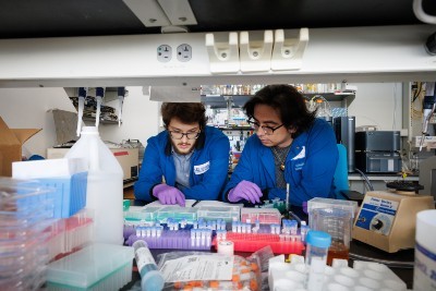 Researchers in the Lab