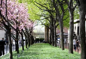 College Walk