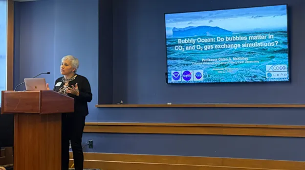 Photo of Professor Galen McKinley introducing her project