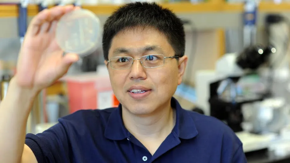 Photo of Songtao Jia pofessor of biological sciences at Columbia University.