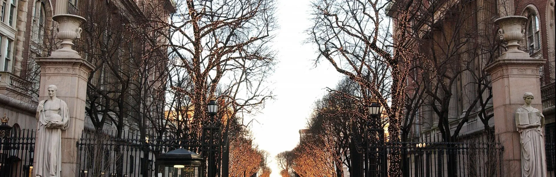 College Walk Photo