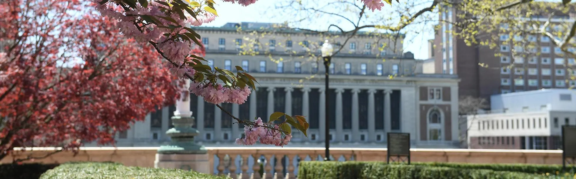 Butler Library in the Spring