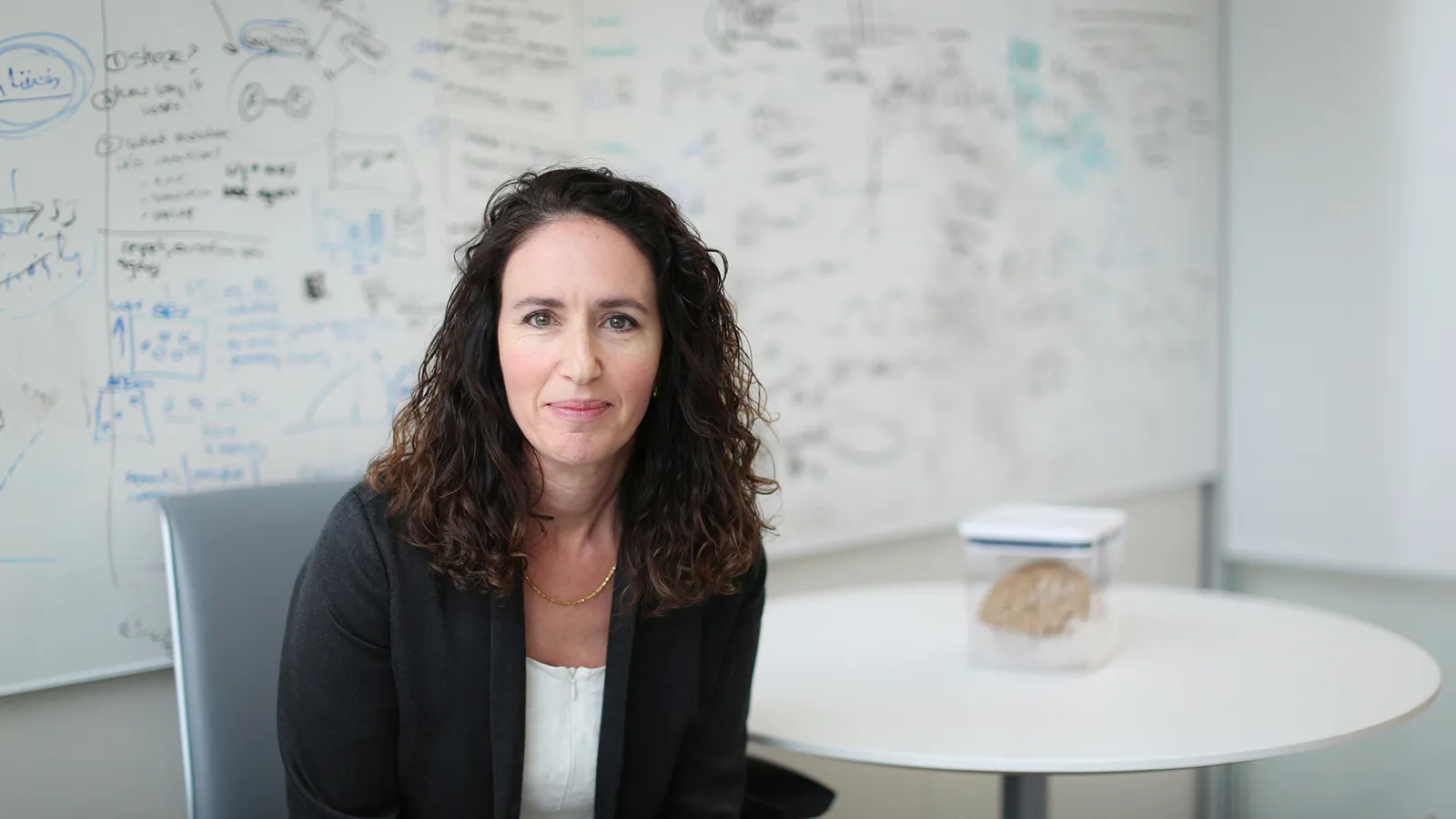Professor Daphna Shoshamy sitting in front of a whiteboard